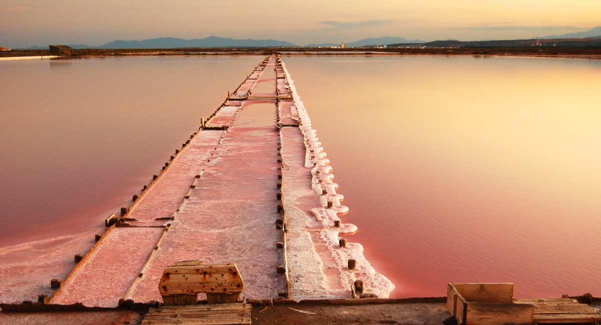 Les Salins de Gruissan