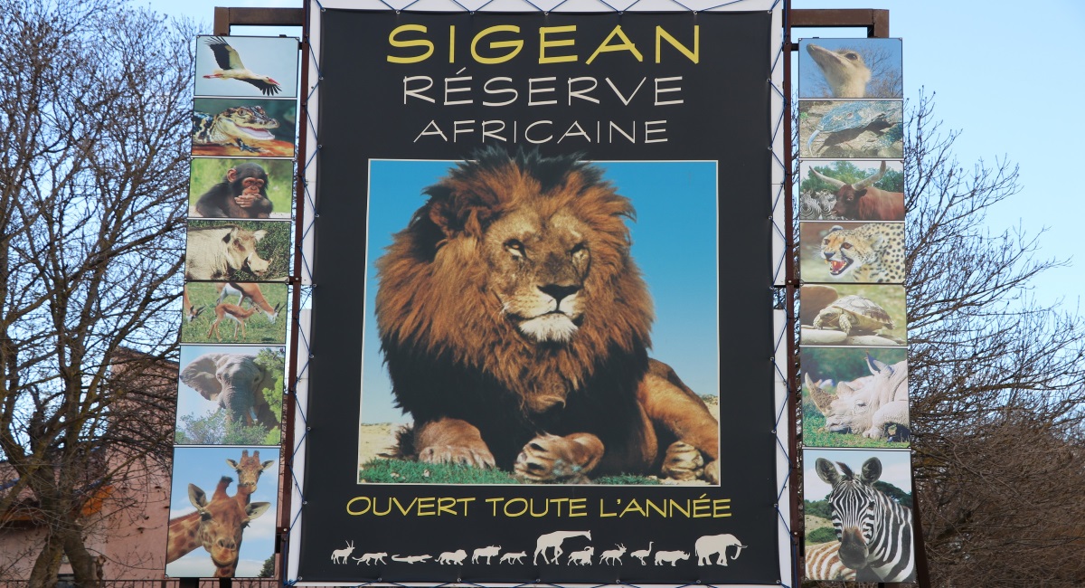 Réserve africaine  SIGEAN