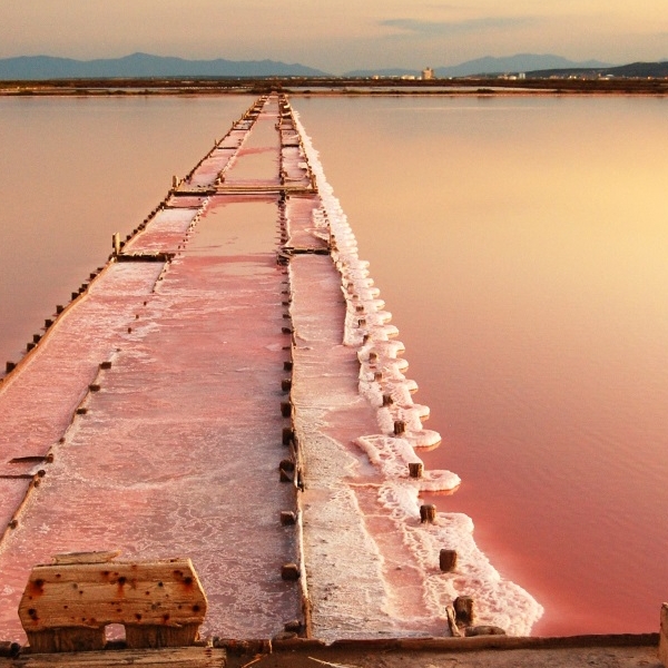 Les Salins de Gruissan