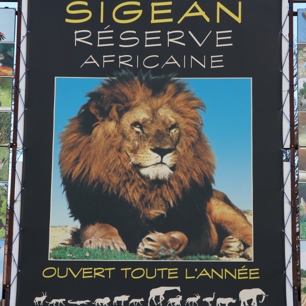 Réserve africaine  SIGEAN